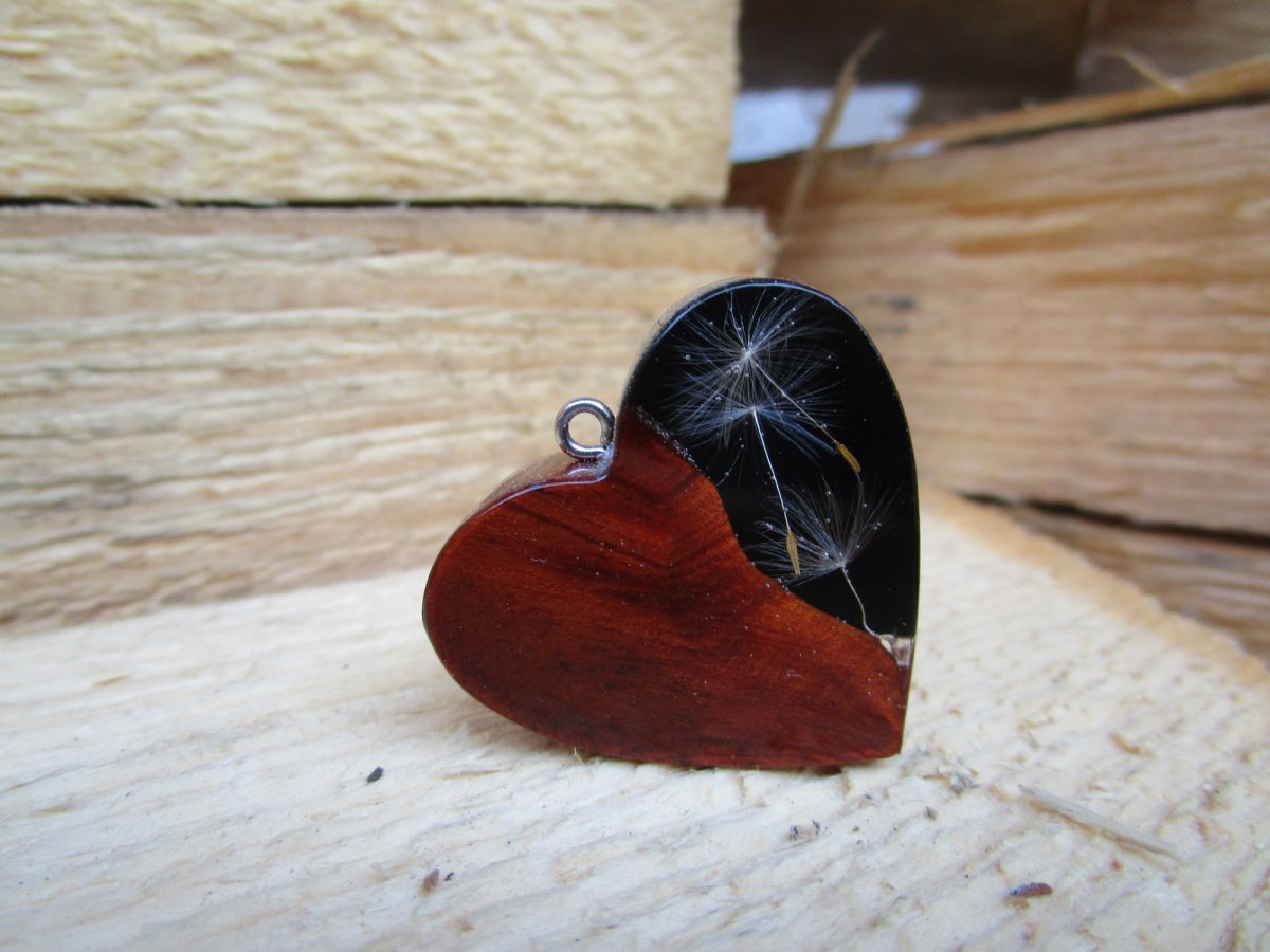 pampeliškové srdíčko - švestka černé pozadí