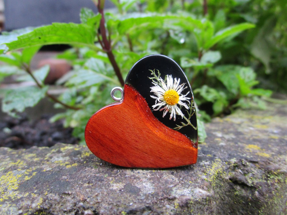 sedmikráskové srdíčko - švestka černé pozadí