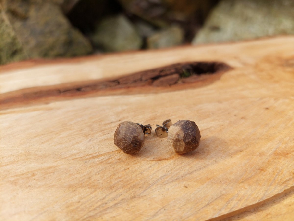 náušničky - ořešák