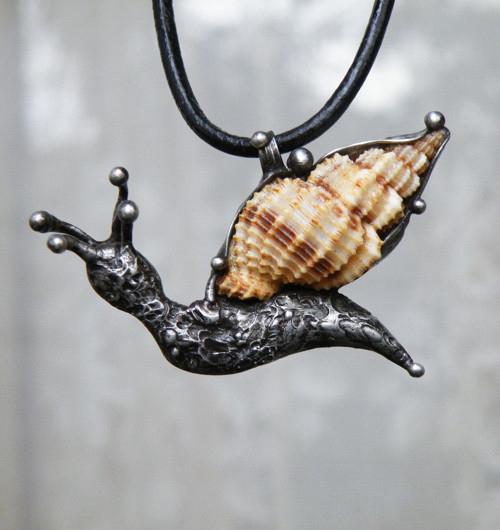 Šneček...(mušle)