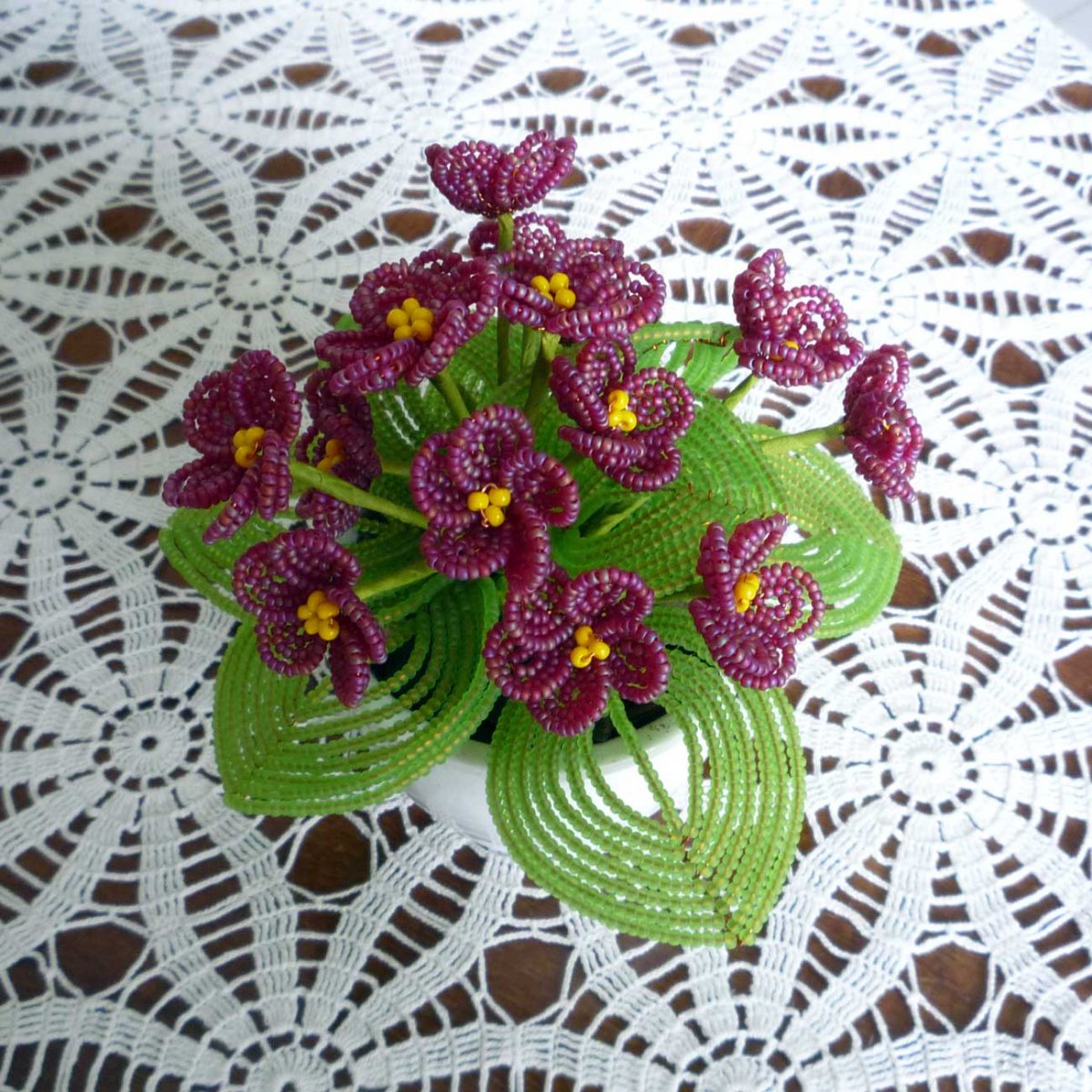 Fialka vínová - korálková