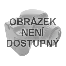 Crossbody Ještěrka 