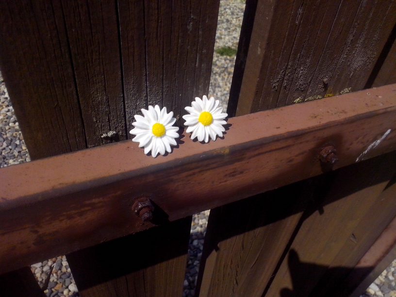 Náušnice - kopretiny - bílá