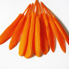 Kachní peří- letky, oranžová barva