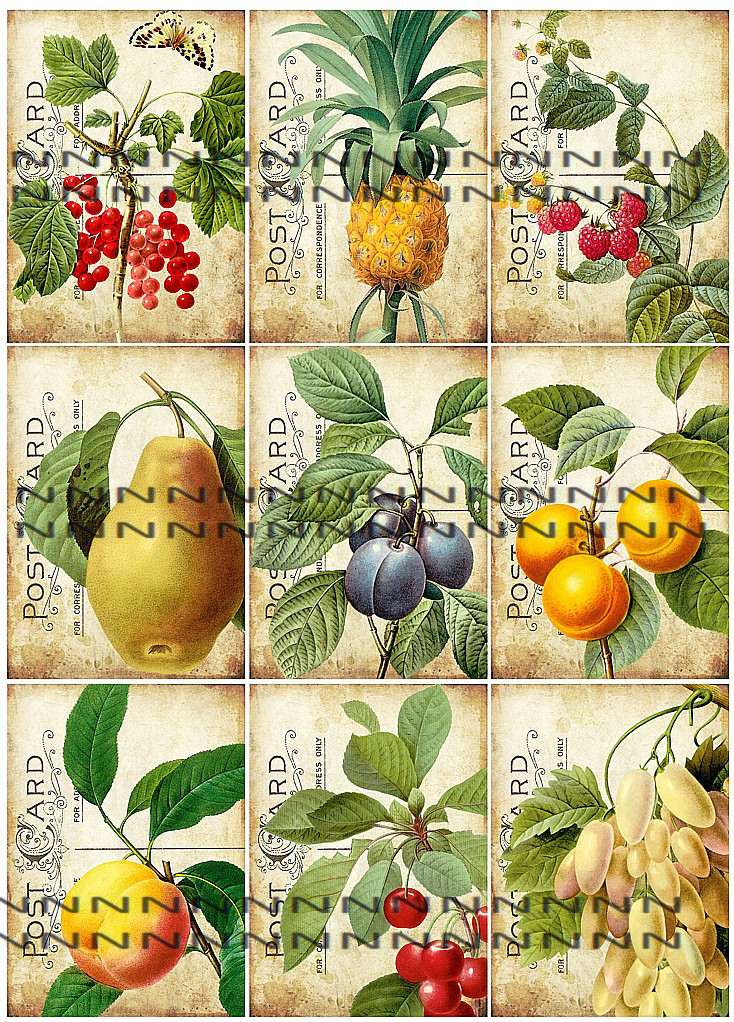 Nažehlovací obrázek AGC1 výběr a-h