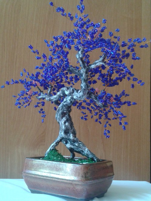 Bonsaj - Noční krása