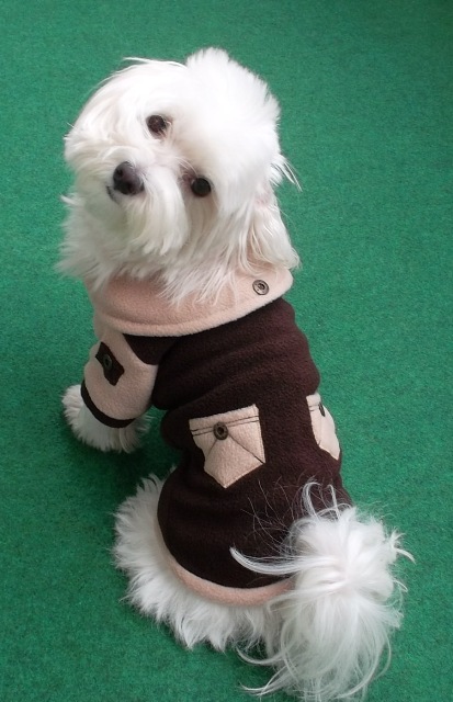 Mikina hnědá vel. M, L- fenka