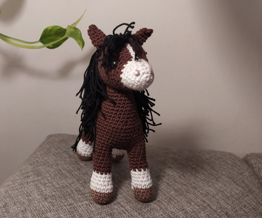 Koník - hnědák s lysinkou