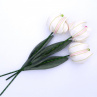 Když jaro přichází a tulipány rozkvétají. č 1038