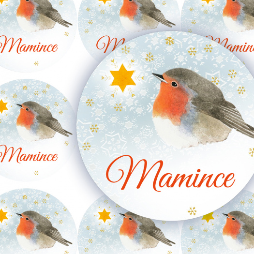 HVĚZDIČKA-MAMINCE - jmenovky