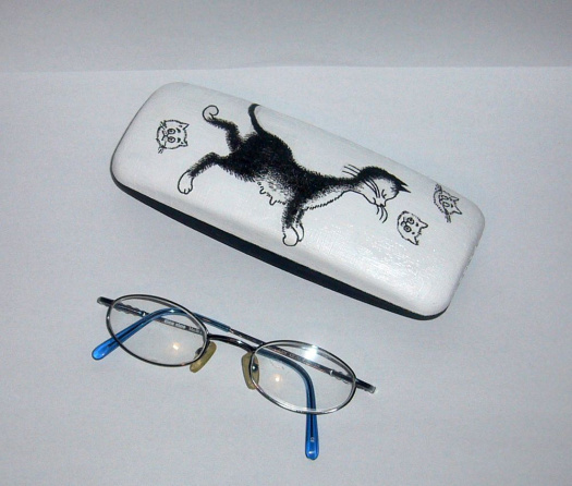 Pouzdro na brýle-kočičí
