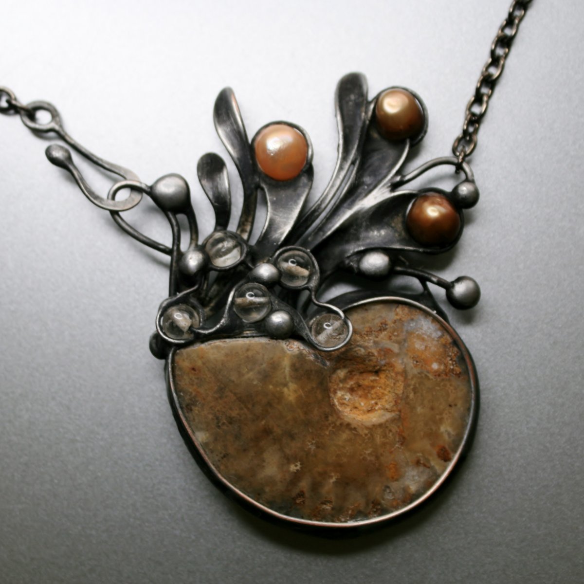  Dávno tomu ... amonit   