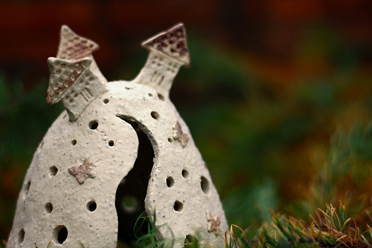 podzimní světlo na stráni