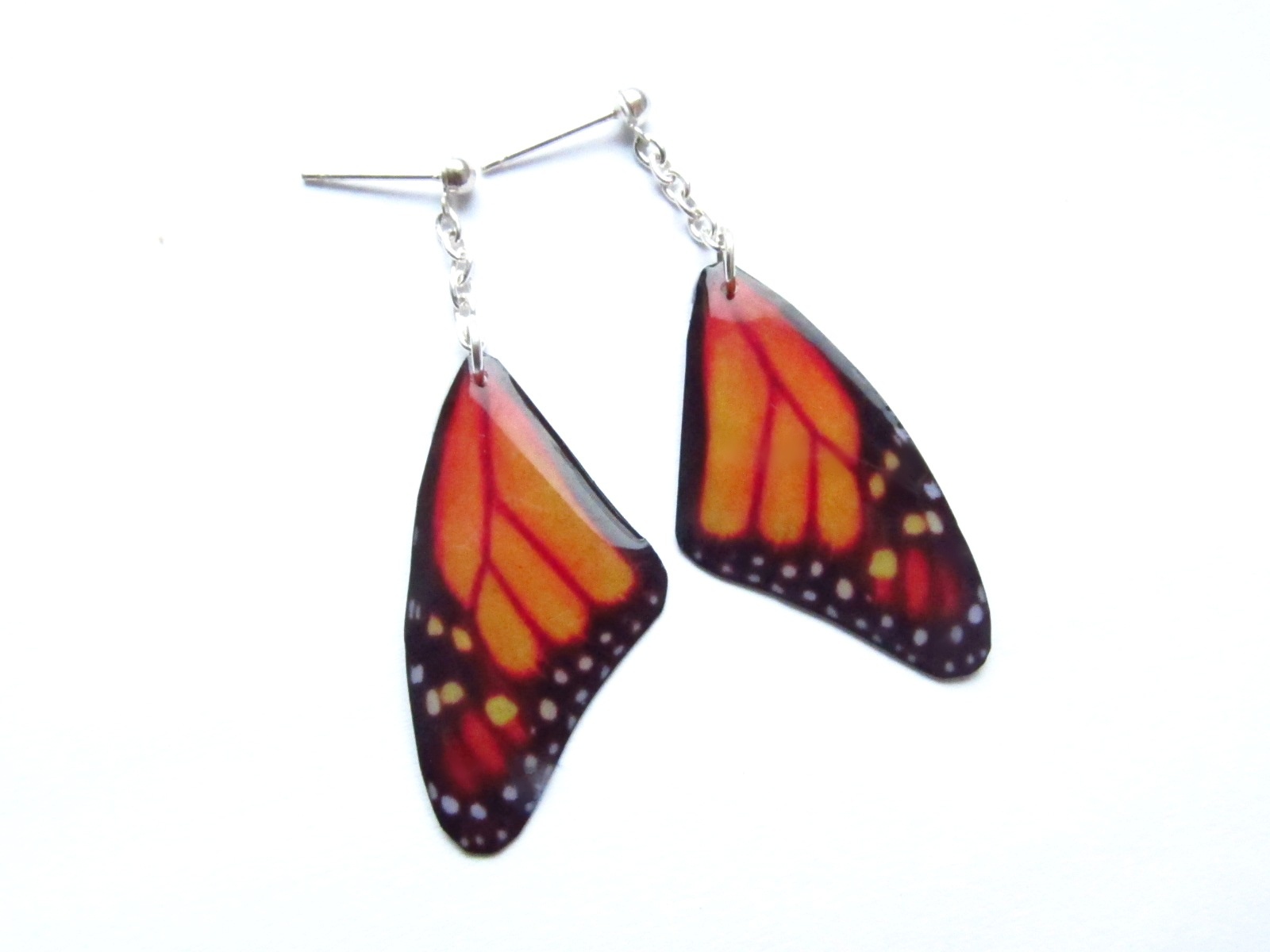 Motýlí křídla - monarcha