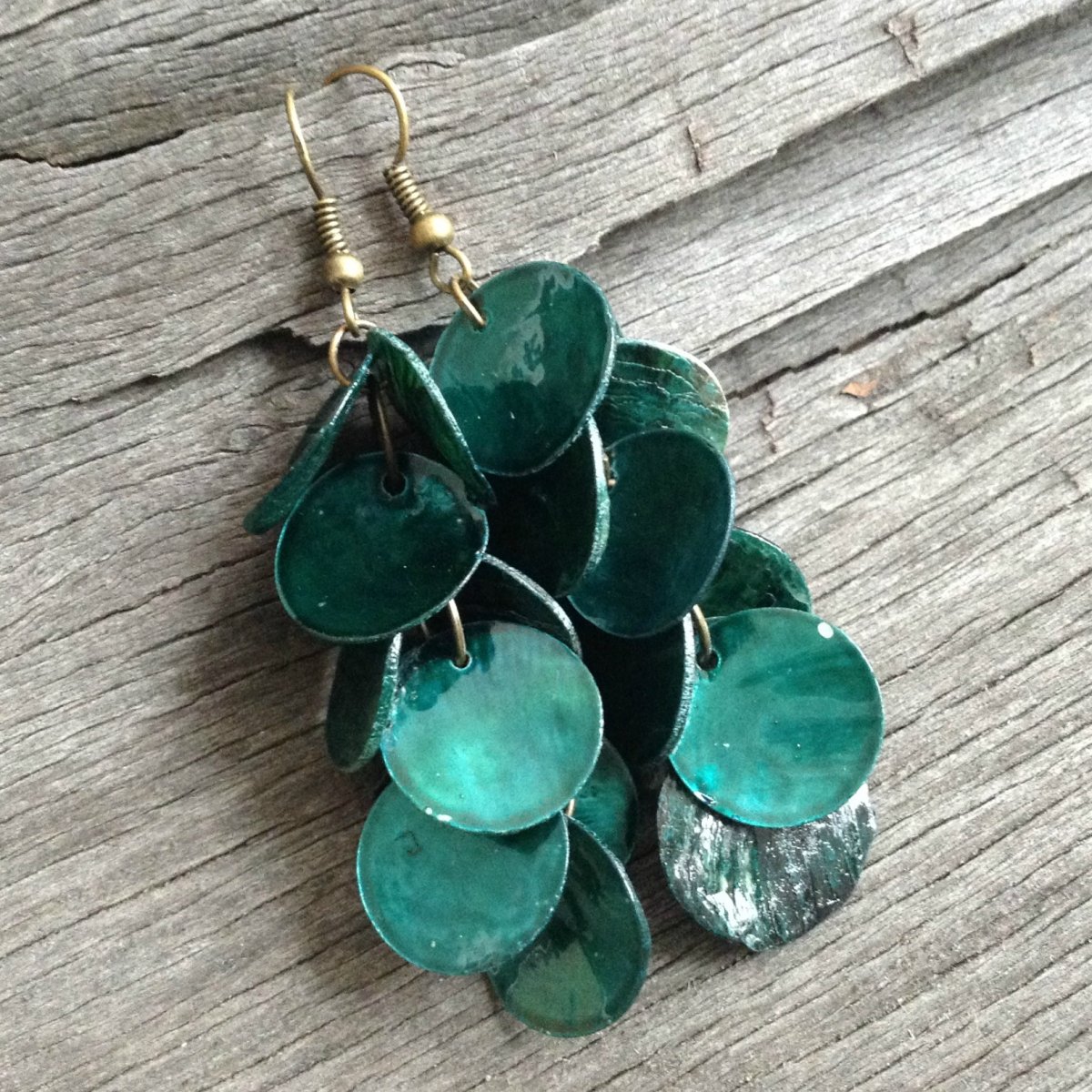 Jezerní perleťovky