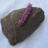 Spona, sponka do vlasů - 8 cm