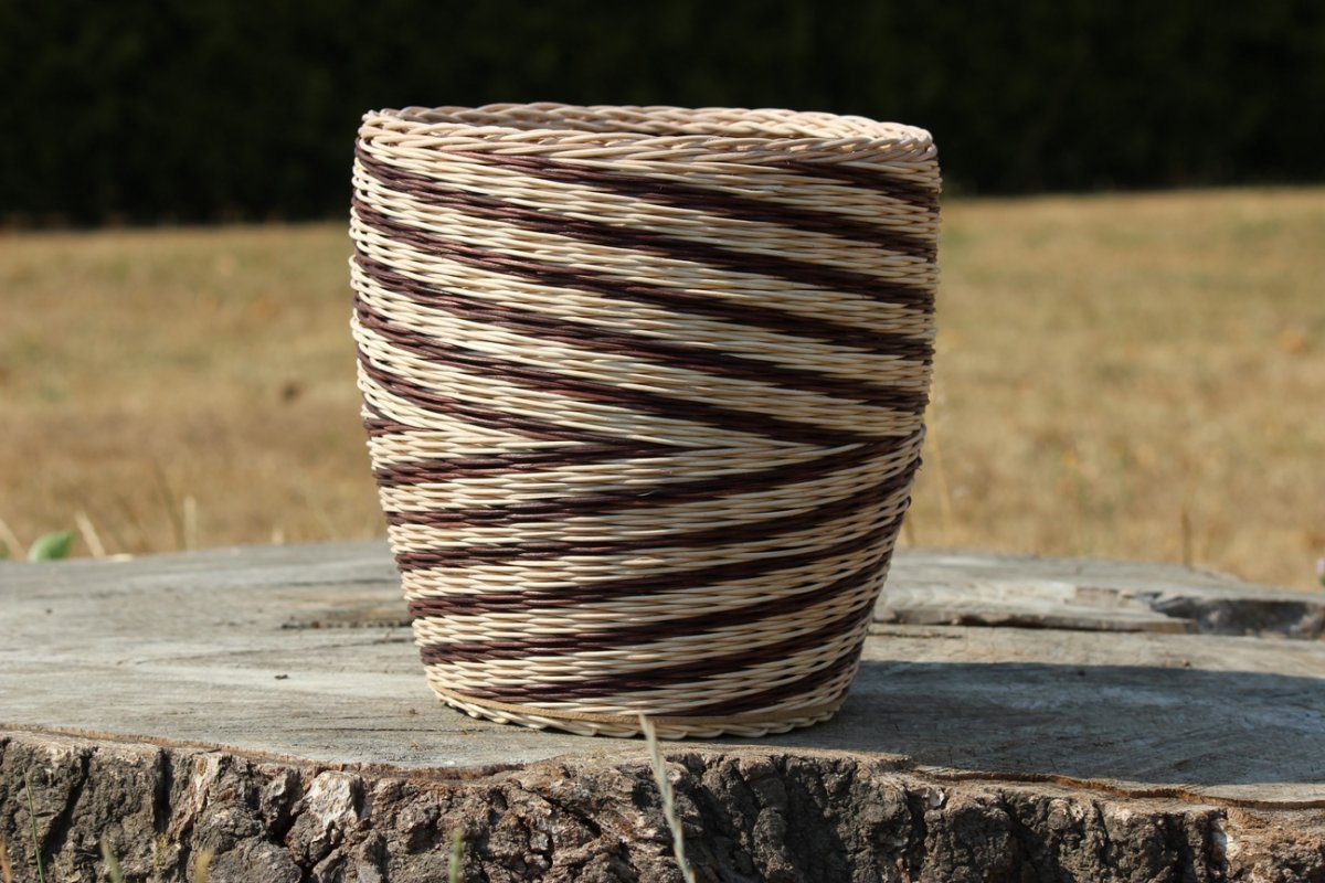 Hnědý klubíčkovník