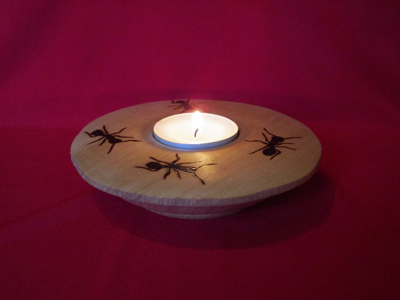 svícen s mravenci