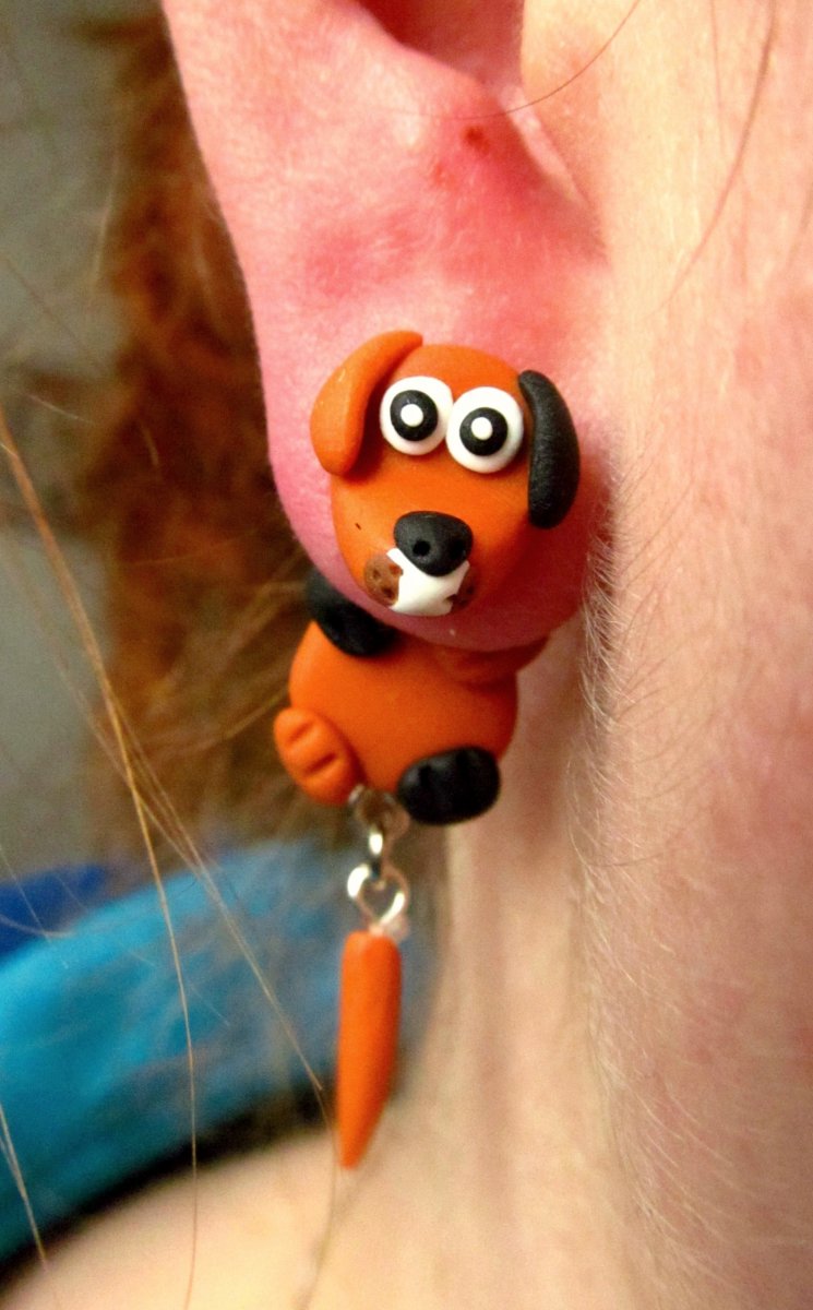 Pejsek oříšek - Fanda