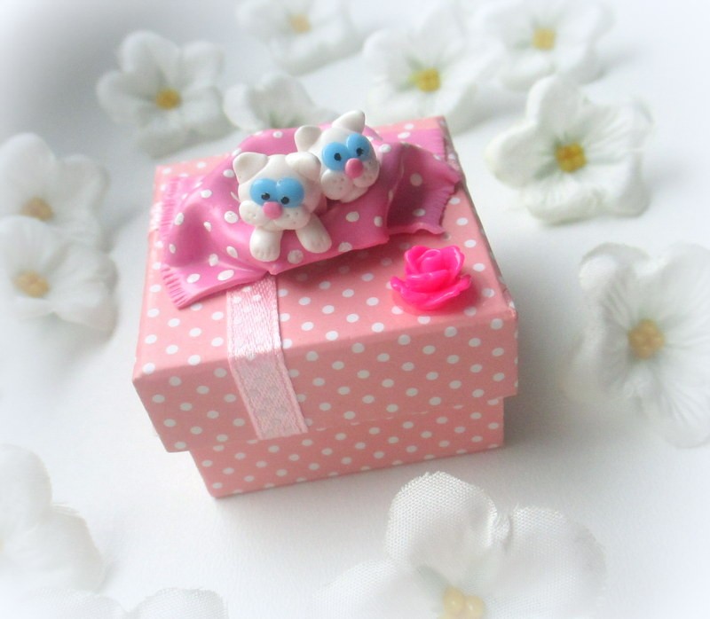 Dárková krabička s koťaty