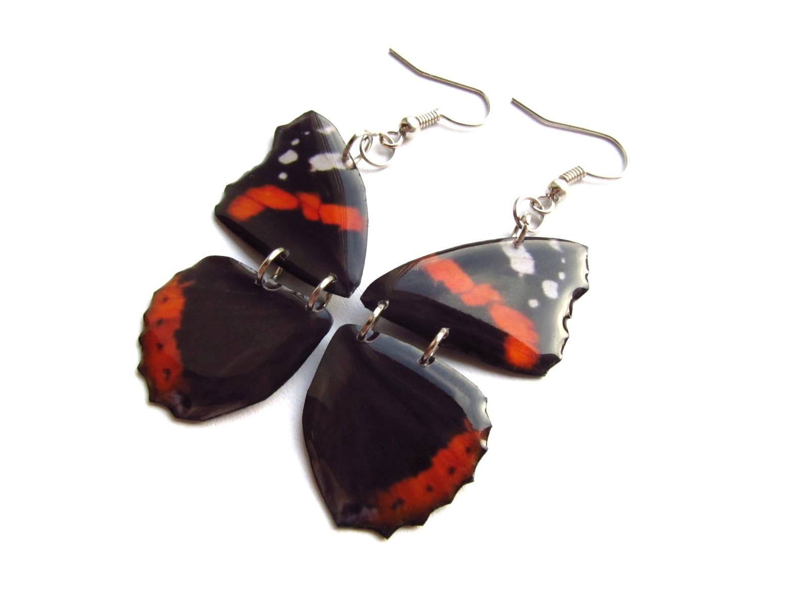 Motýlí křídla - babočka admirál