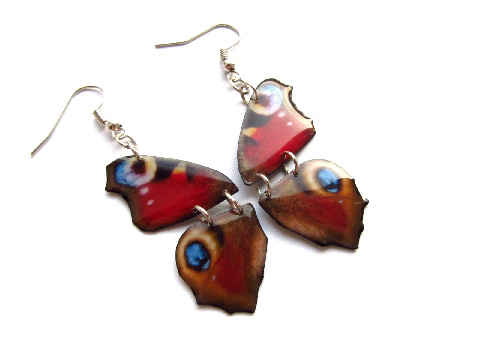 Motýlí křídla - babočka paví oko