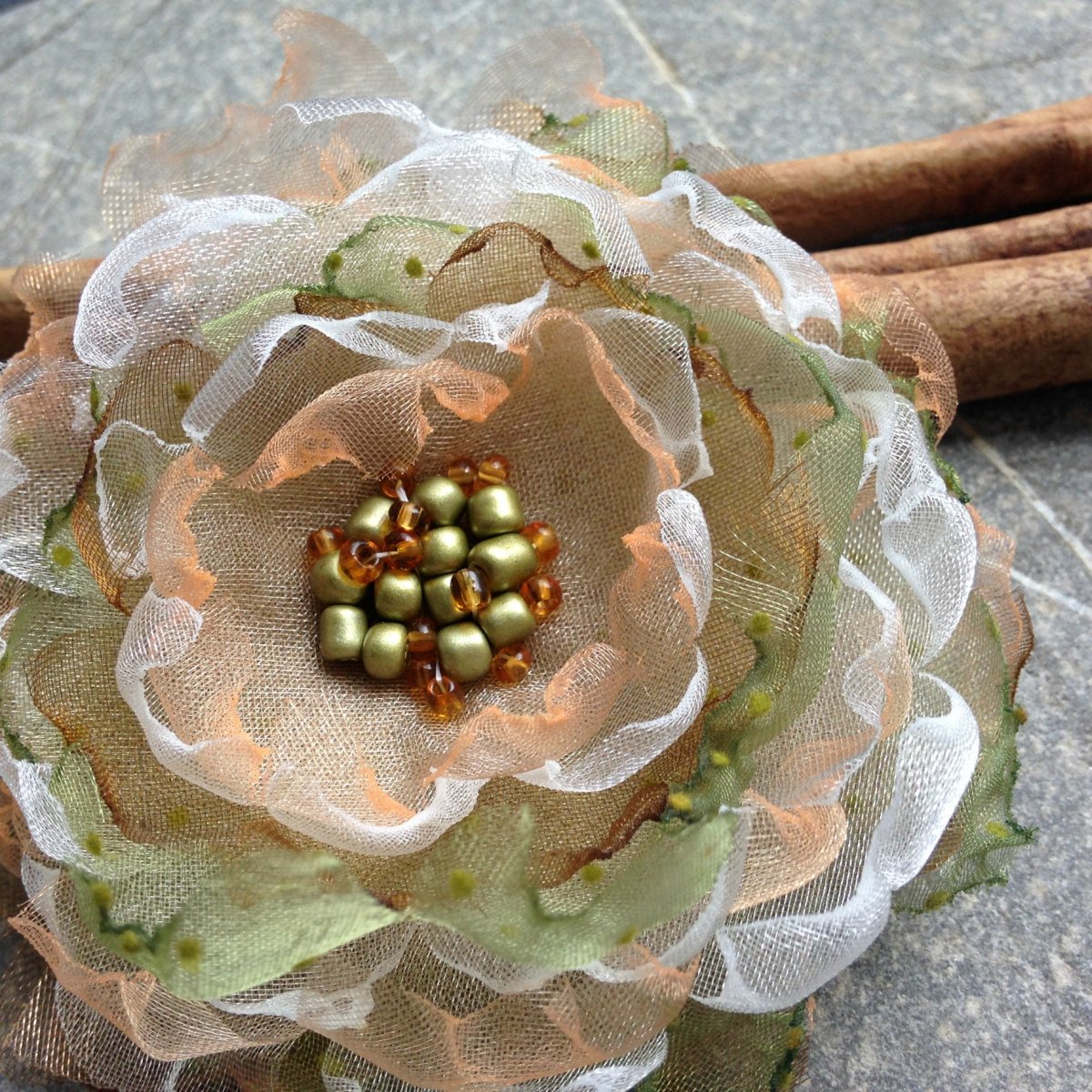 Skořicová chryzantéma