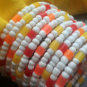 Neon in white