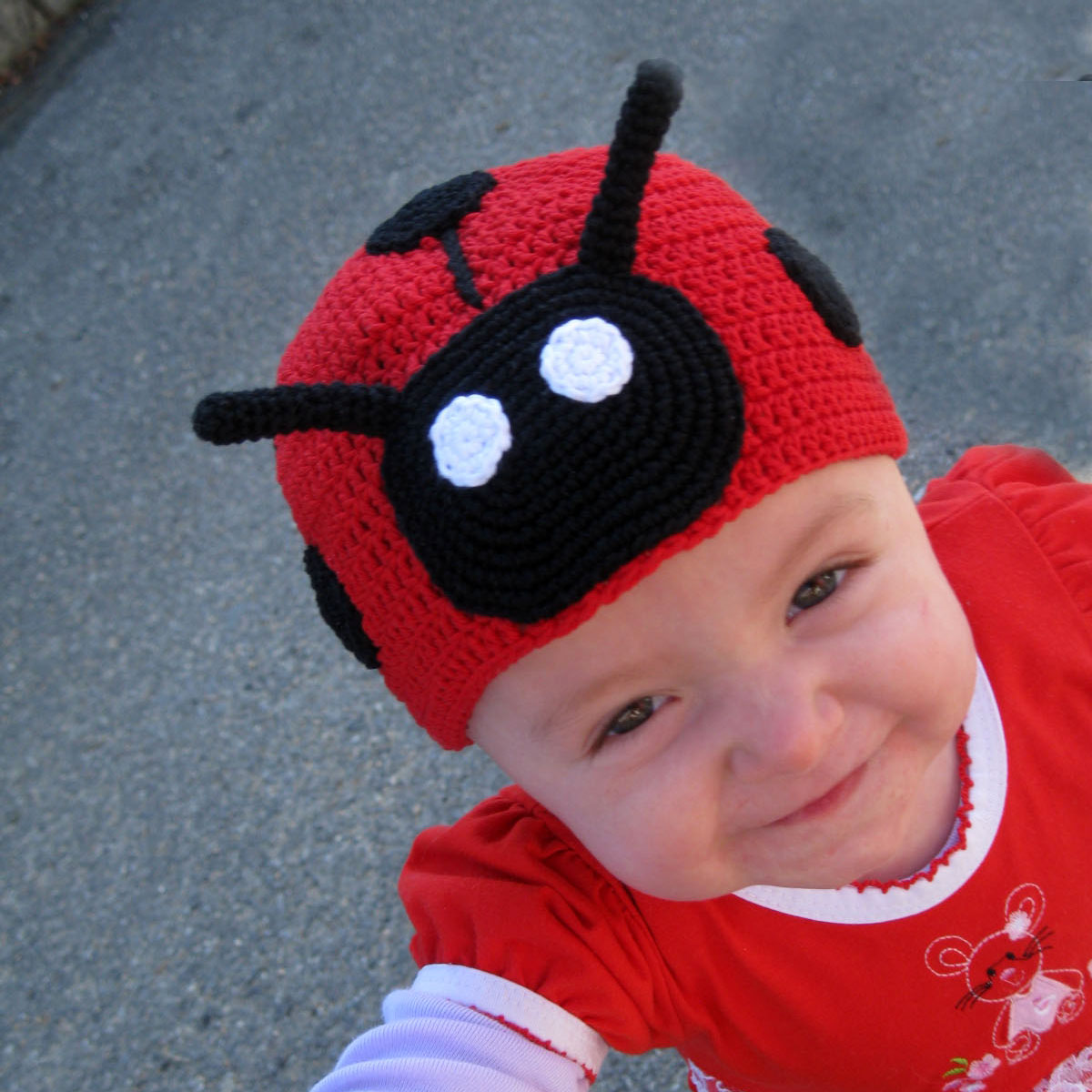 Slunéčko sedmitečné