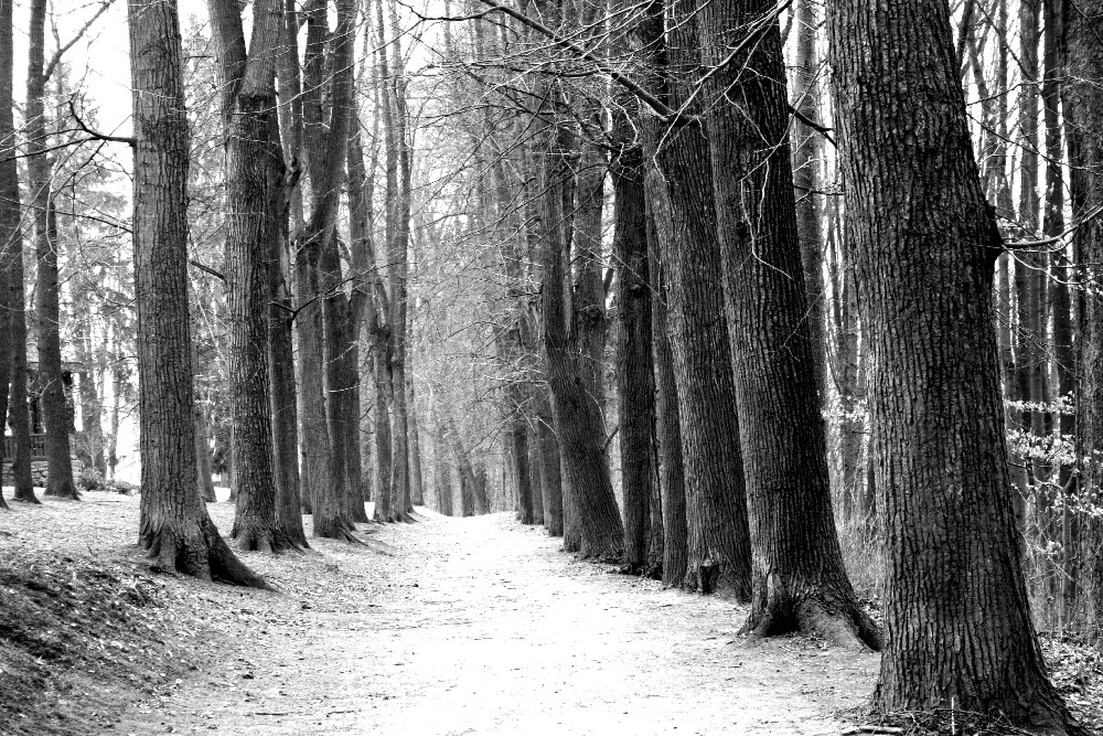 Všechny cesty vedou ................................