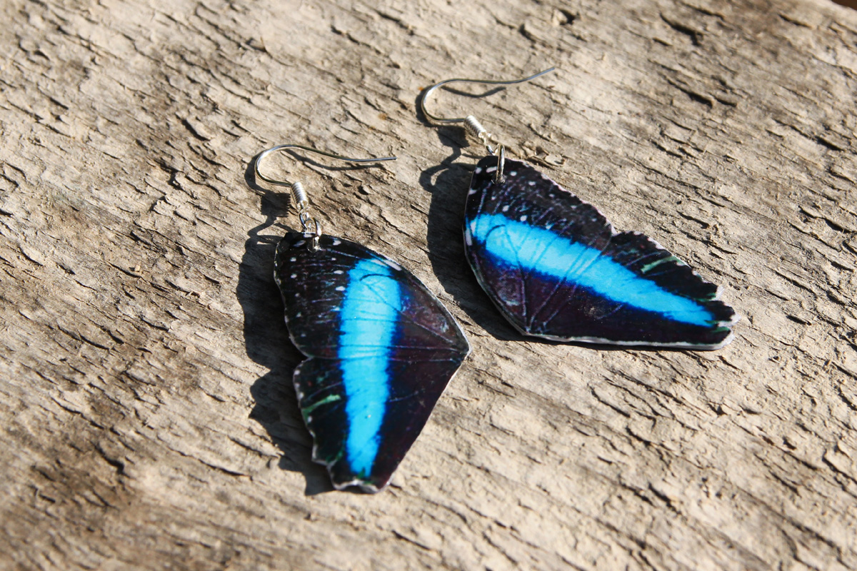 Motýlí křidélka III