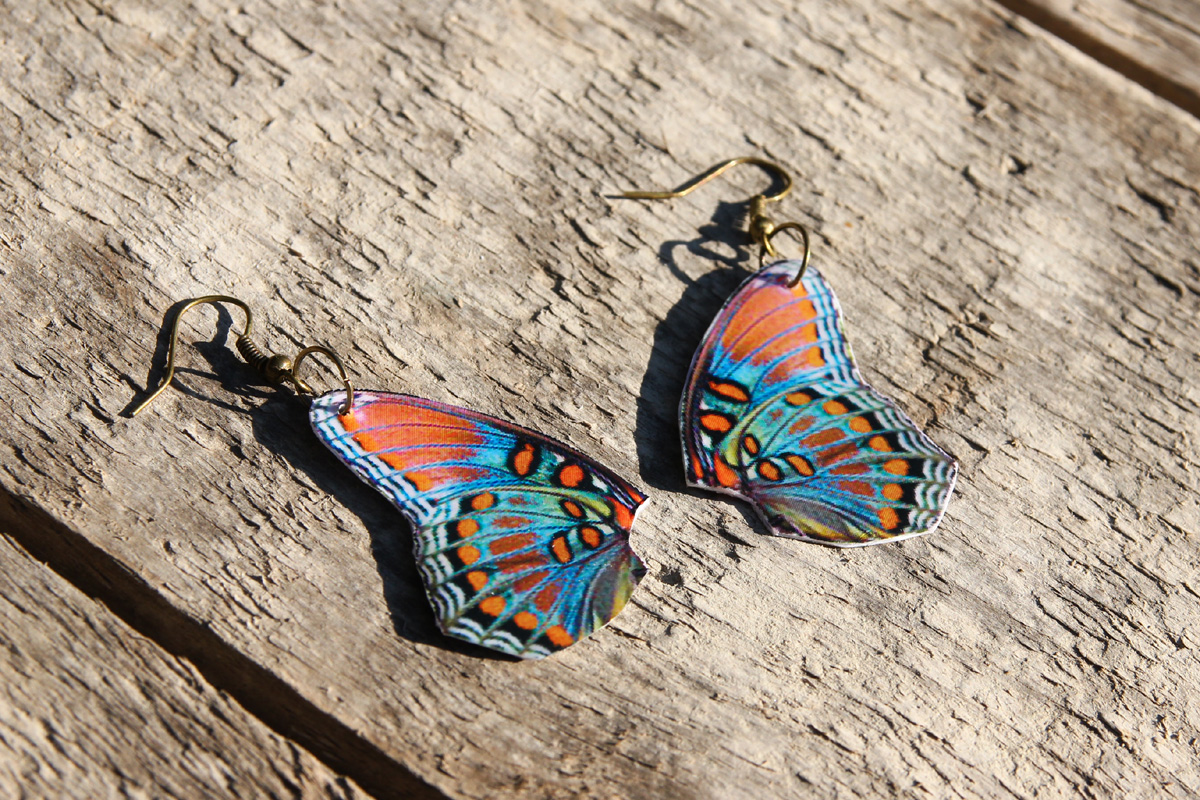 Motýlí křidélka VIII