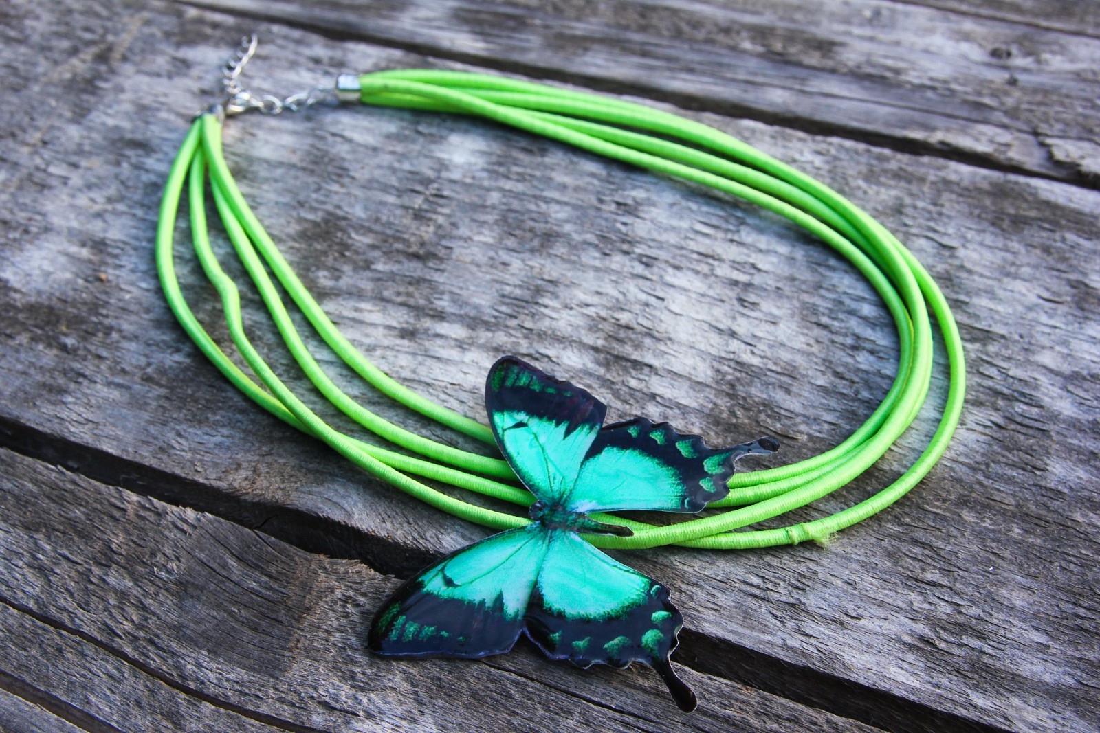 Zelenkavý pruženkáč s motýlkem