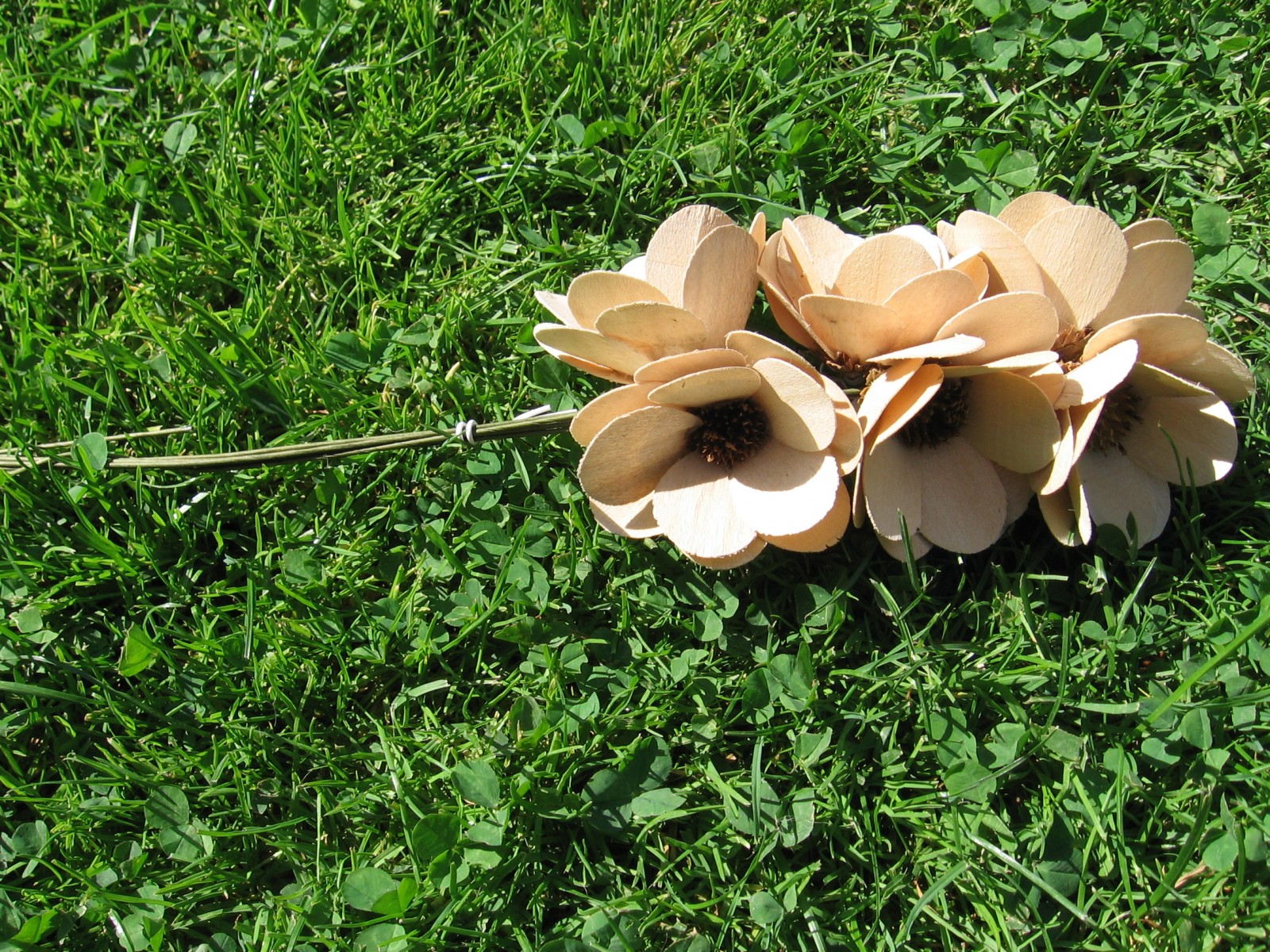 přírodní dřevěné květy k další dekorací