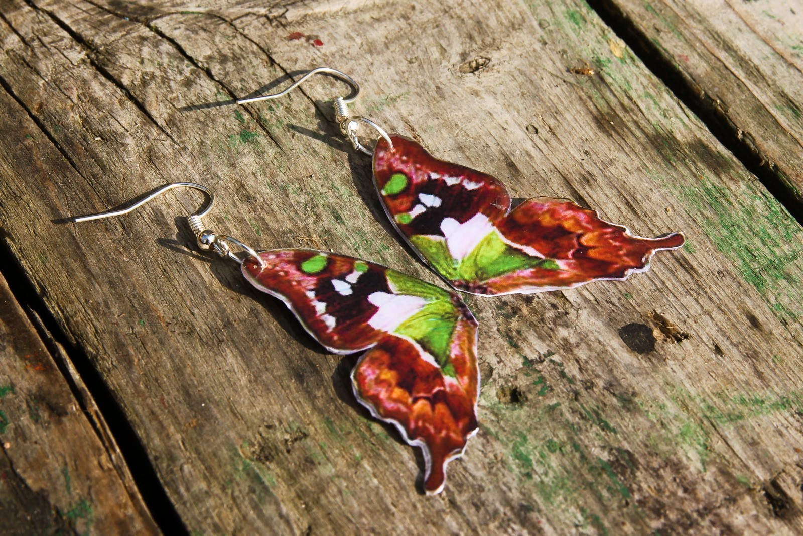 Motýlí křidélka XX