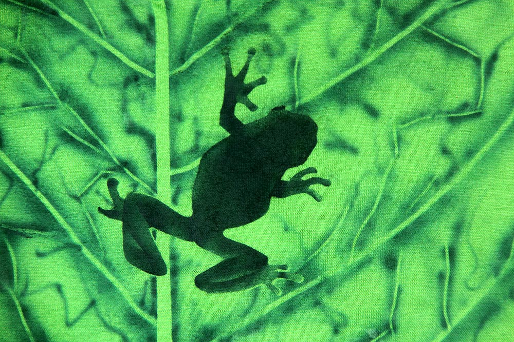 žabí tričko pro milovnice vílích pohádek