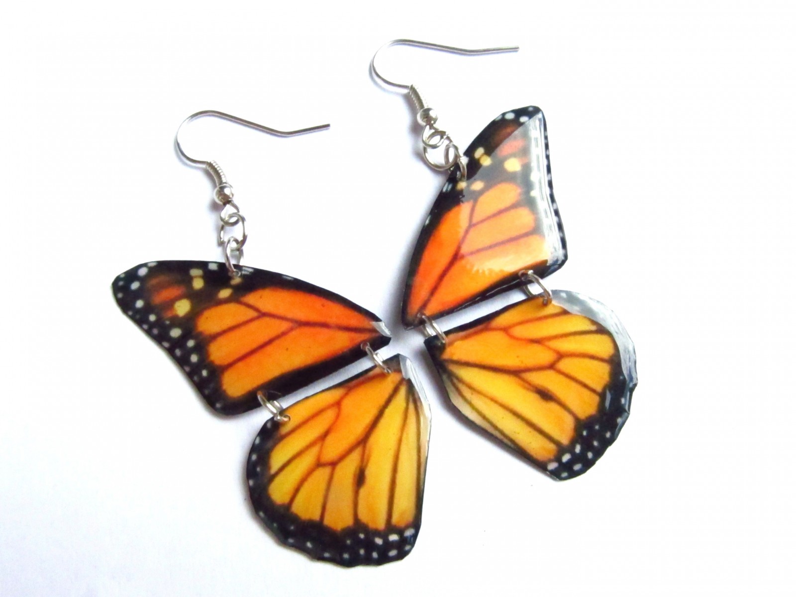 Motýlí křídla - monarcha