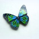 Motýl - brož