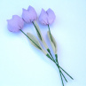 Když jaro přichází a tulipány rozkvétají. č 1084