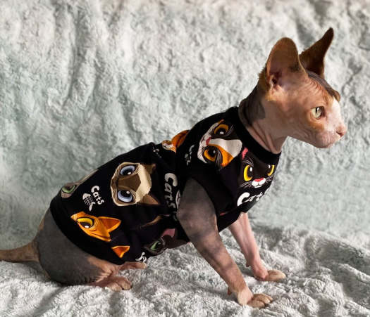 Mikina pro Sphynx s barevnými kočičkami