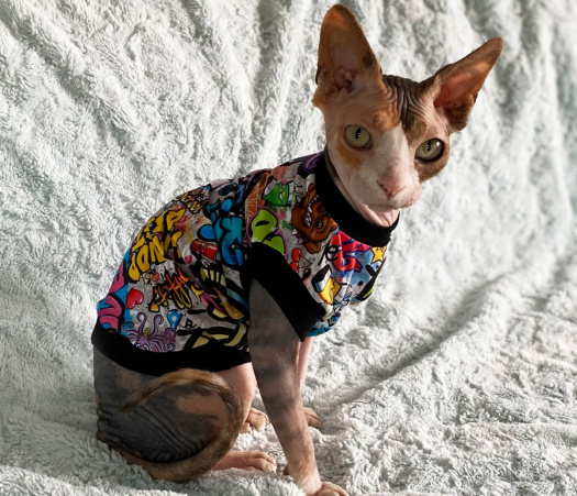 Tričko pro sphynx graffiti