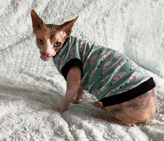 Tričko pro sphynx mint myšky