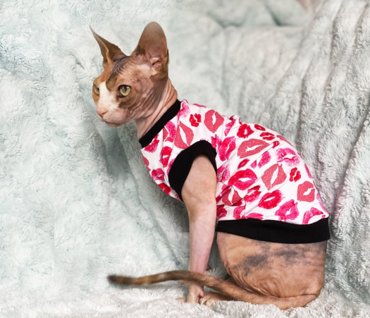 Tričko pro sphynx pusinky