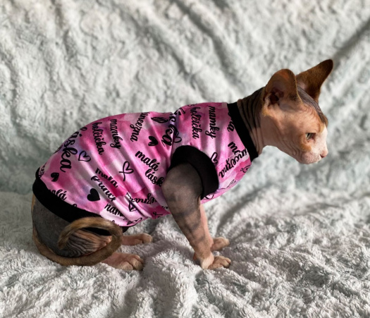 Tričko pro sphynx "mamky holčička"