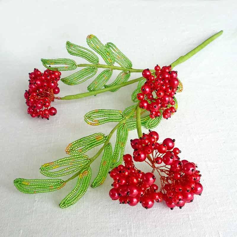 Jeřabiny korálkové