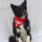 Šátek se jménem a telefonem