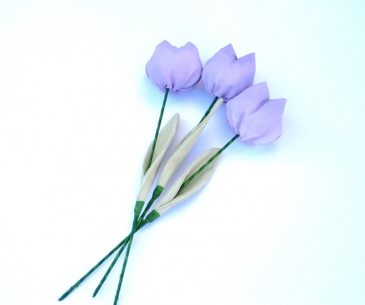 Když jaro přichází a tulipány rozkvétají. č 1084