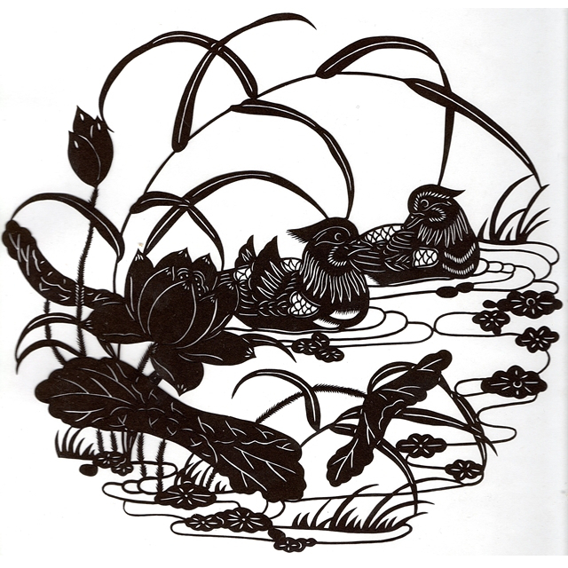 Mandarinské kachničky - černé