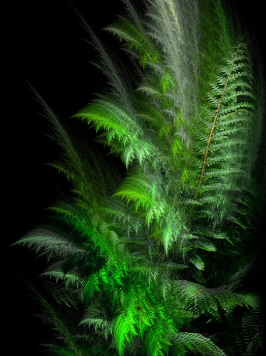 V stínu kapradiny ...