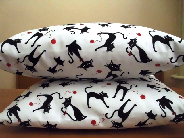 kočka kam se podíváš